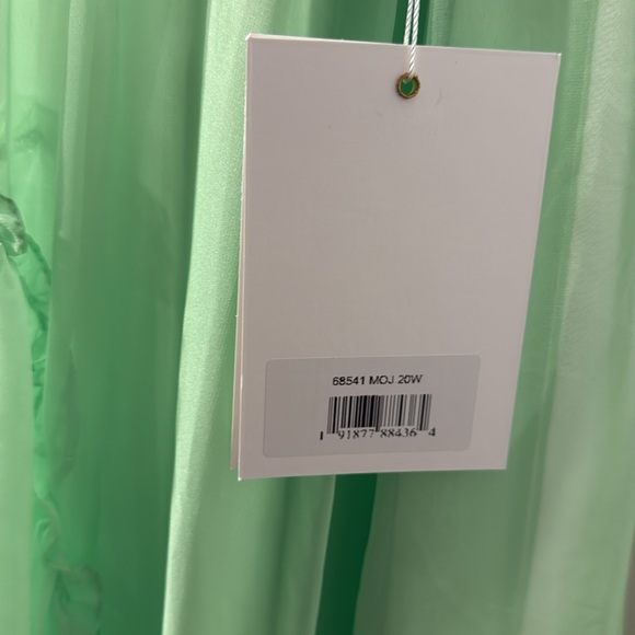 💃🏽➕MAC DUGGAL Organza V-Neck Gown. Color:Mojito (Green). Size: 20W. - Picture 7 of 10